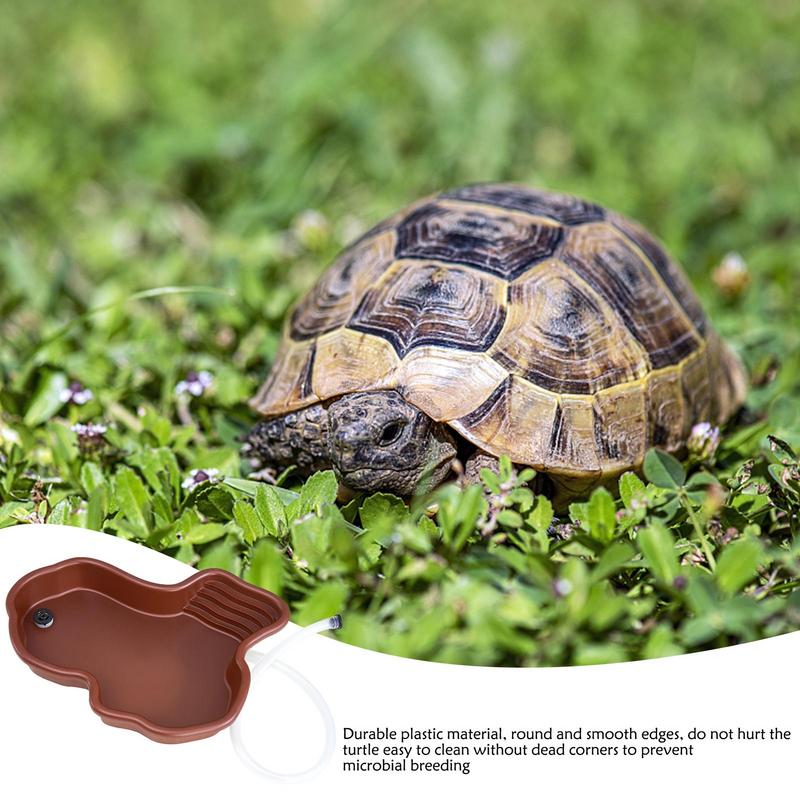 Kolam mandi reptil piring maka - Water Dish Reptile ulasan dan harga