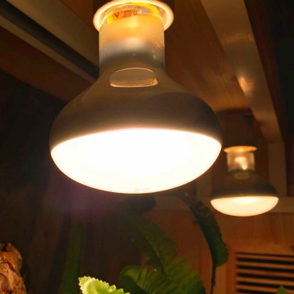 Lampu Penghangat Pengontrol Su - Basking Bulb Halogen ulasan dan harga
