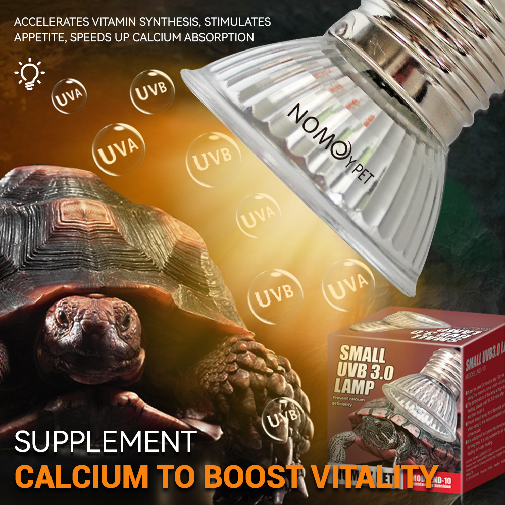 Lampu UVA UVB 50W untuk Reptil - Vitamin D3 Reptile ulasan dan harga