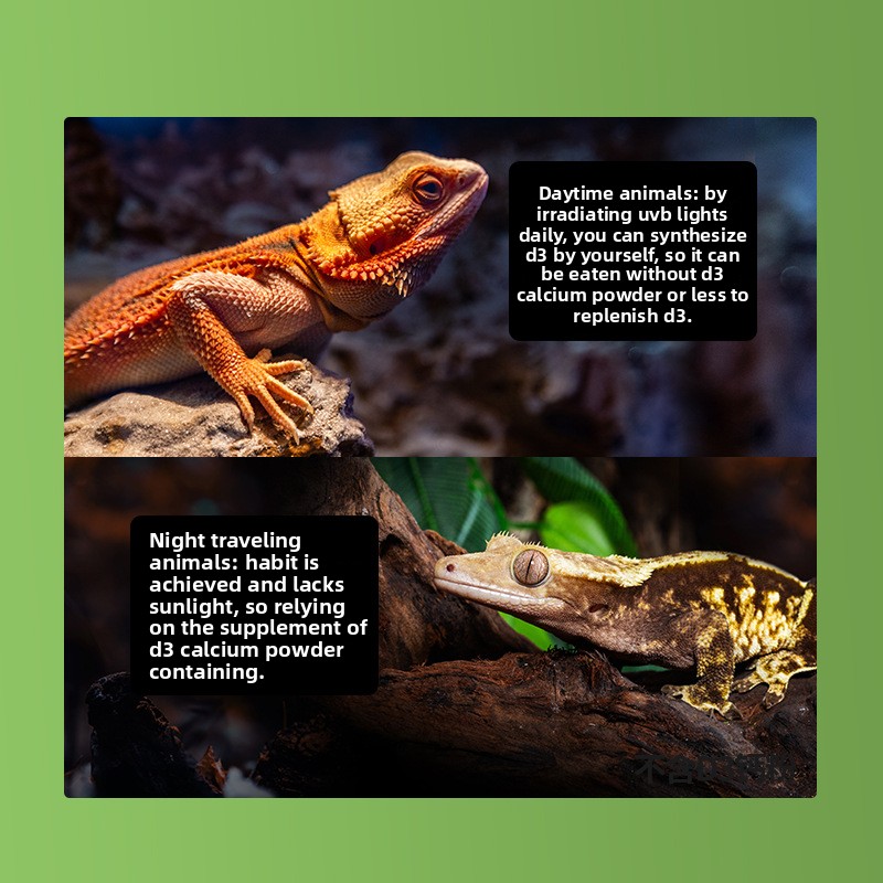 Reptizoo Bubuk Kalsium Reptil  - Calcium Powder Reptile ulasan dan harga