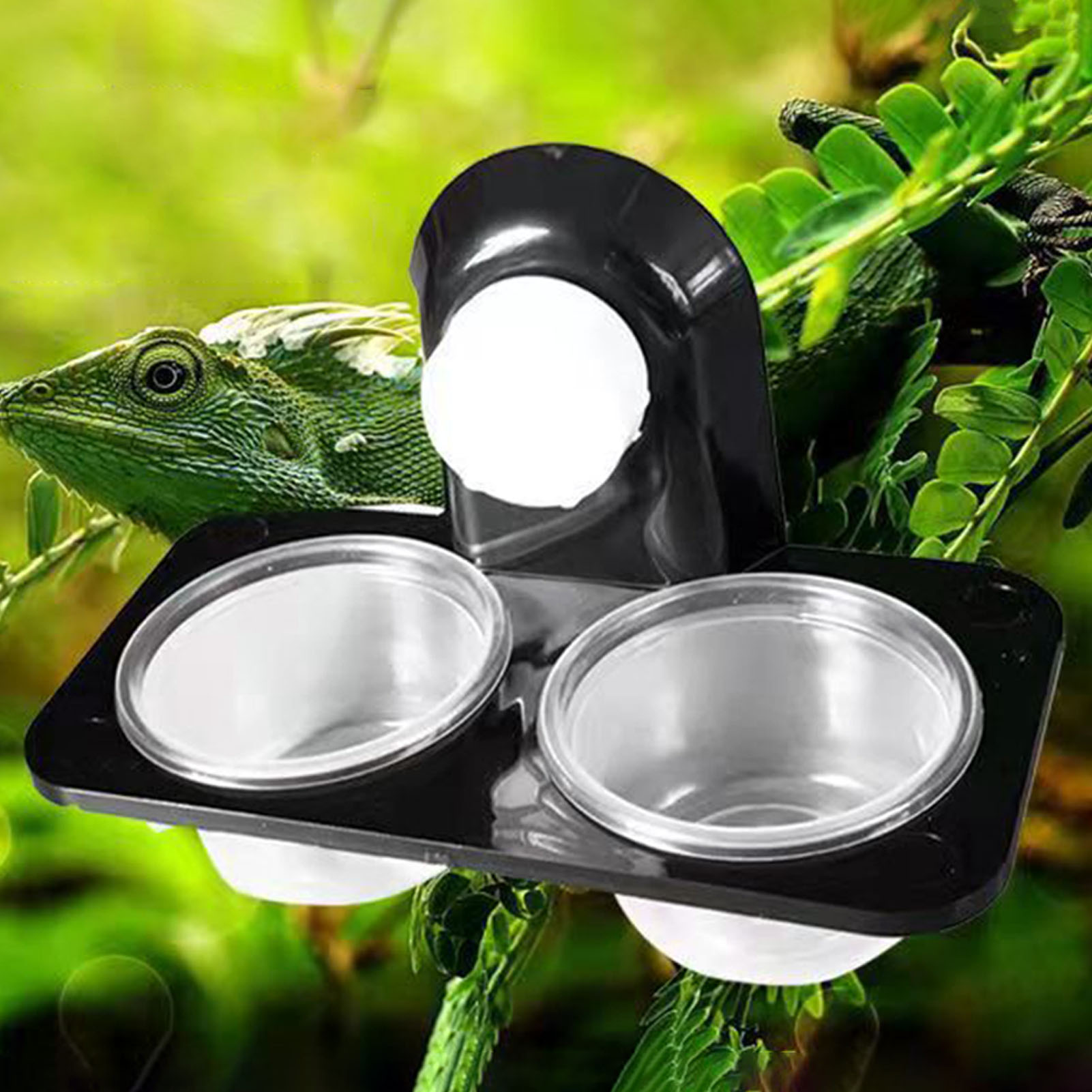 Crested Gecko mangkuk makanan  - Water Dish Reptile ulasan dan harga